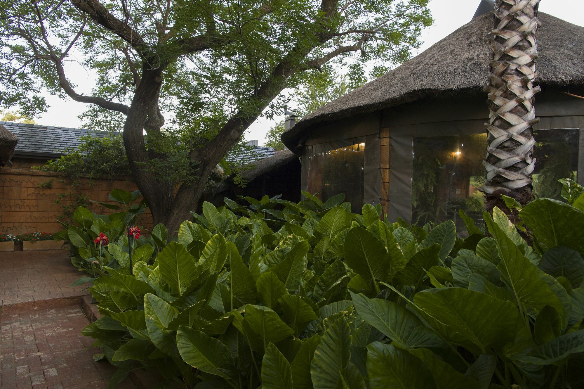 Bayswater Lodge Bloemfontein Exteriér fotografie